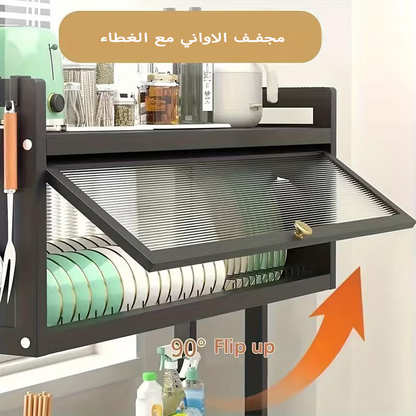 منظم الصحون الأصلي